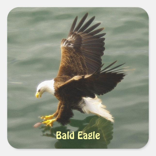 Fishing Bald Eagle Motivational Sticker Set (Front)