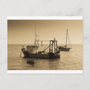 Fishing Boats Leigh on sea Postcard