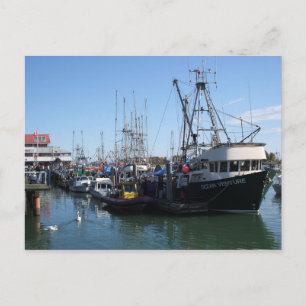 Fishing Boats Postcard
