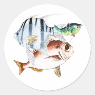 Fishing Classic Round Sticker
