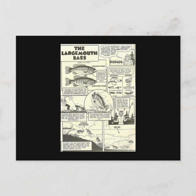 Fishing Comic Book Tips Bass Baits Cute Postcard (Front)