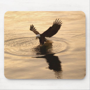 Fishing Eagle Mouse Mat