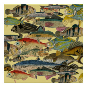 Fishing Fisherman Deep Sea Fishing Exotic Tropical Poster