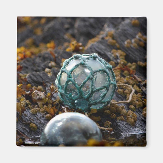 Fishing float in tide pool, Alaska Magnet (Front)