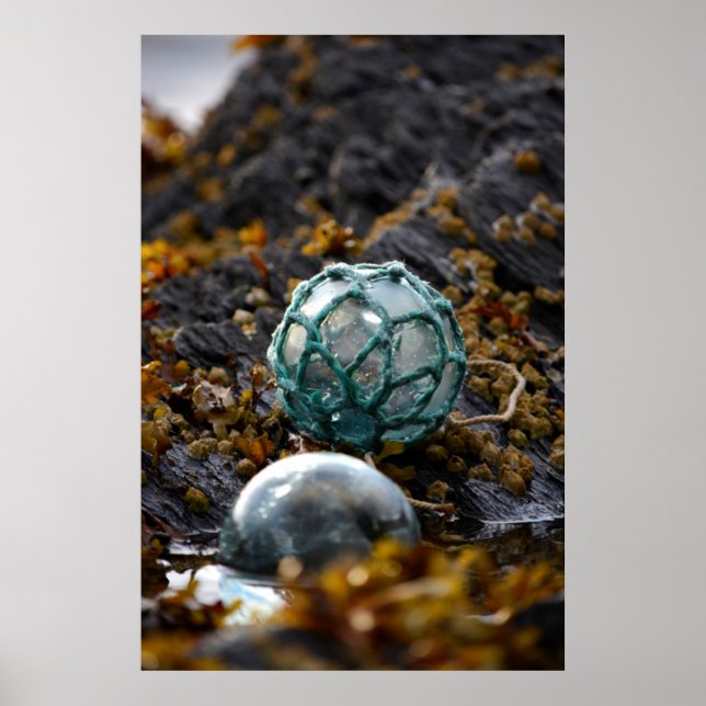 Fishing float in tide pool, Alaska Poster (Front)