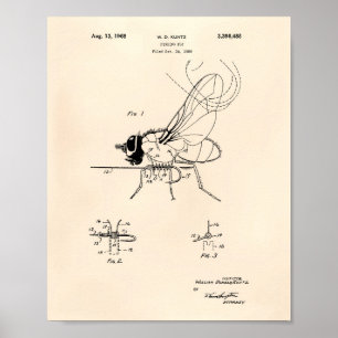 Fishing Fly 1968 Patent Art Old Peper Poster