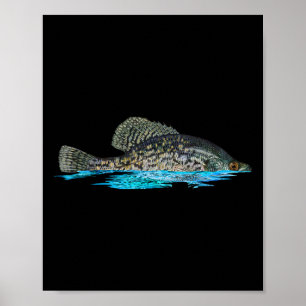 Fishing For Crappie Fish Graphic Art Crappie Fishe Poster