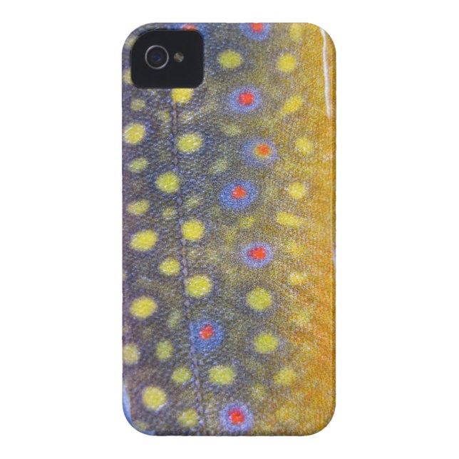Fishing Fury iPhone 4/4S Case (Brook Trout) (Back)