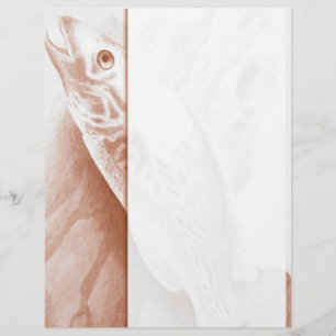 Fishing Letterhead