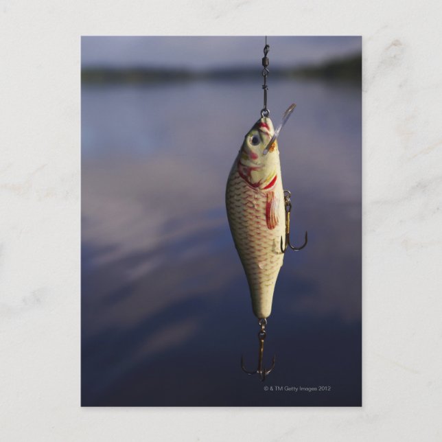 fishing lure in front of water postcard (Front)