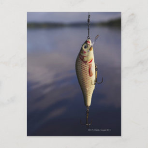 fishing lure in front of water postcard