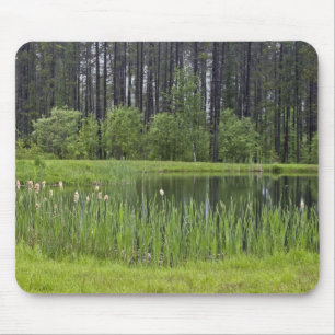 Fishing pond mouse mat