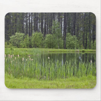 Fishing pond mouse mat