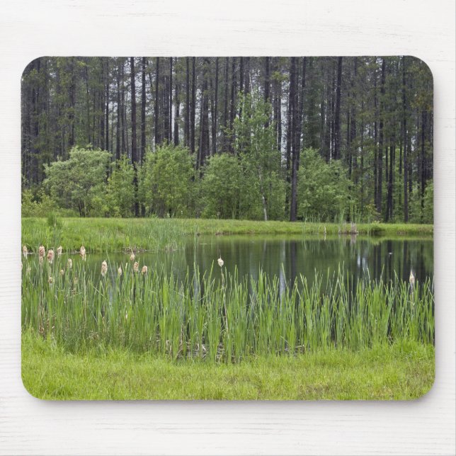 Fishing pond mouse mat (Front)