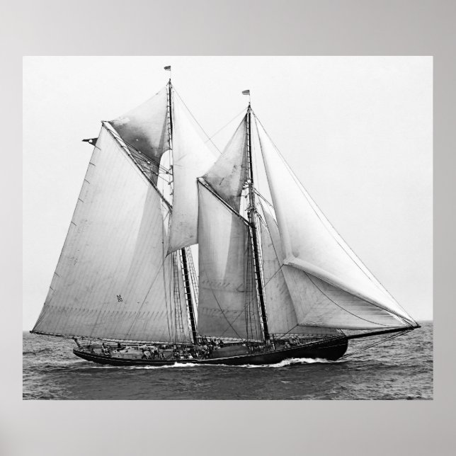 Fishing Schooner Poster (Front)