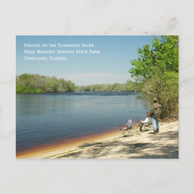 Fishing the Suwannee Postcard (Front)
