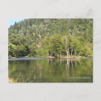 Fishing Time.... Postcard