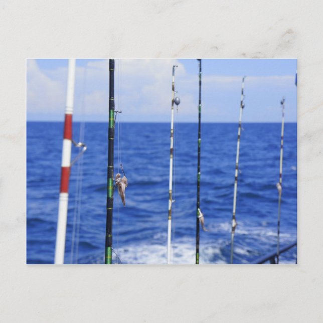 Fishing Trip Postcard (Front)