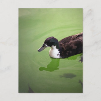 Fishing with ducks postcard