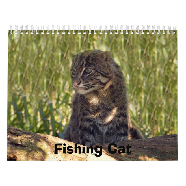 FishingCat008, Fishing Cat Calendar (Cover)