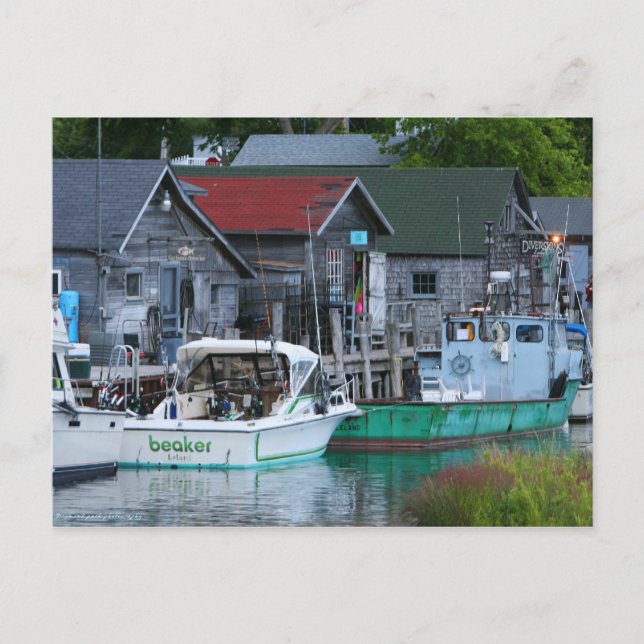 fishtown in Leland Postcard (Front)