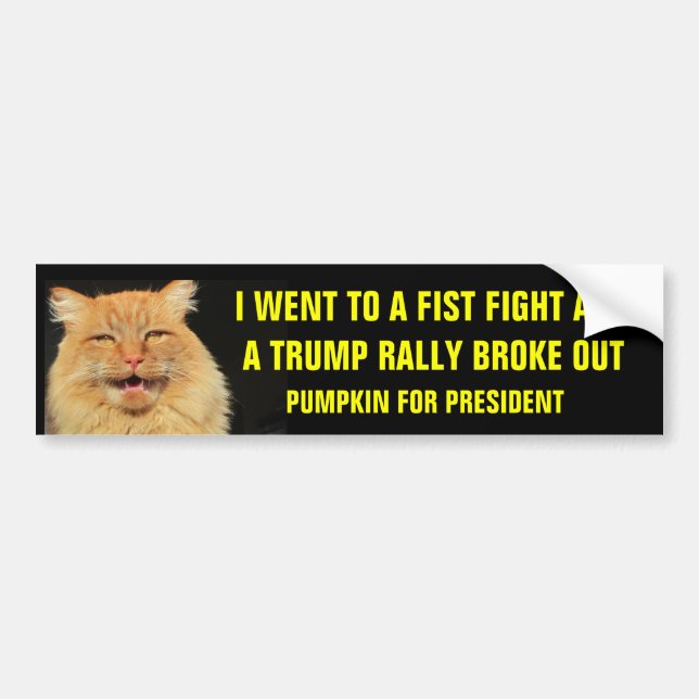 Fist Fight Trump Rally  Pumpkin for President Bumper Sticker (Front)