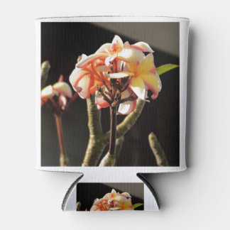 Fitna (Frangipani) Can Cooler