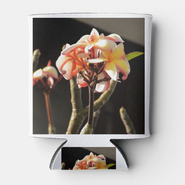 Fitna (Frangipani) Can Cooler (Front)