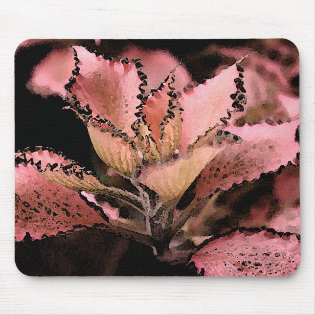 Fittonia argynoneura 'Pink Star' Mouse Mat (Front)