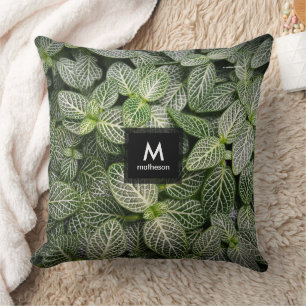 Fittonia Mosaic Plant with Variegated Leaves Cushion