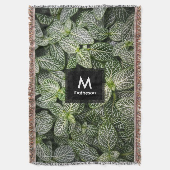 Fittonia Mosaic Plant with Variegated Leaves Throw Blanket (Front Vertical)