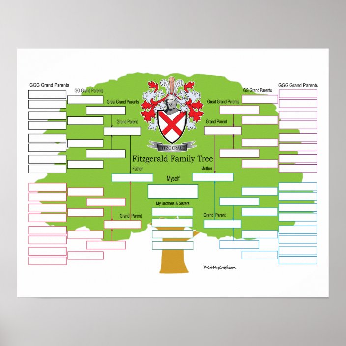 Fitzgerald Family Tree Poster | Zazzle.co.uk