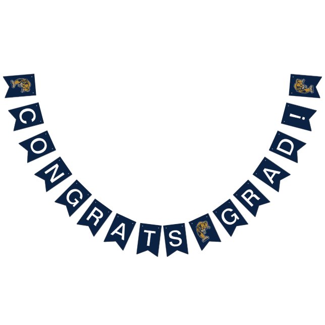 FIU Panthers Graduation Bunting (All)