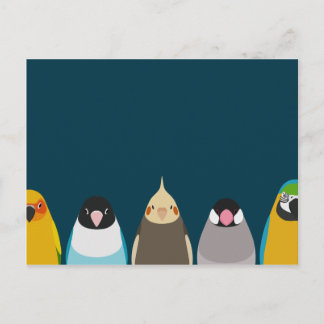 Five birds illustration - tori no iro postcard