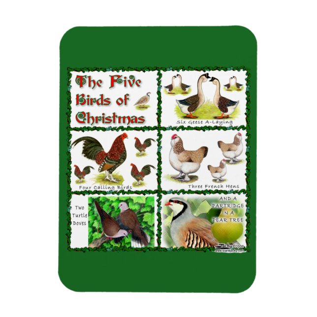 Five Birds of Christmas Magnet (Vertical)