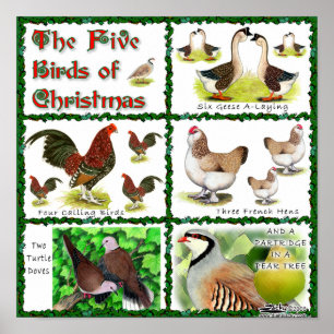 Five Birds of Christmas Poster