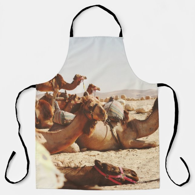 FIVE CAMELS ON FIELD APRON (Front)