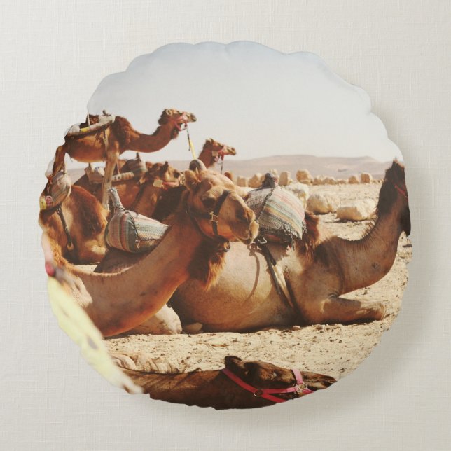 FIVE CAMELS ON FIELD ROUND CUSHION (Front)