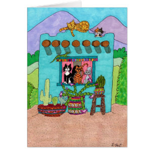 Five Cats at an Aqua Adobe House