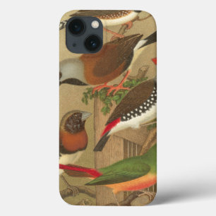 Five Colorful Pet Birds Perched on a Branch iPhone 13 Case