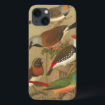 Five Colourful Pet Birds Perched on a Branch iPhone 13 Case<br><div class="desc">Cassel Plakater's art is very distinctive. This painting of five tropical birds is colourful and would be perfect for any avian lover. Choose this artprint today on your product.</div>