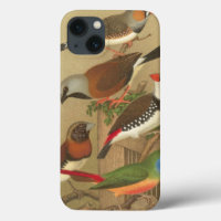 Five Colourful Pet Birds Perched on a Branch
