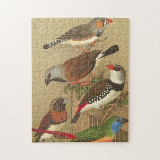 Five Colourful Pet Birds Perched on a Branch Jigsaw Puzzle (Vertical)