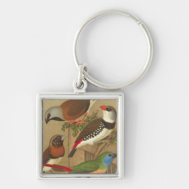 Five Colourful Pet Birds Perched on a Branch Key Ring (Front)