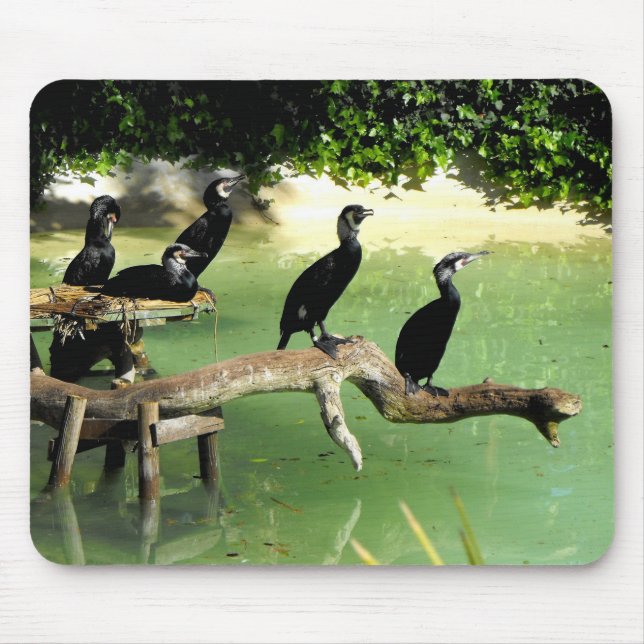 Five cormorants mouse mat (Front)