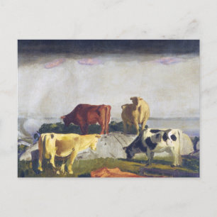 Five Cows -George Bellows Painting Postcard