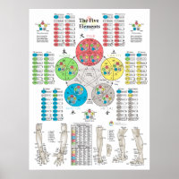 Five Elements of Acupuncture Points Poster