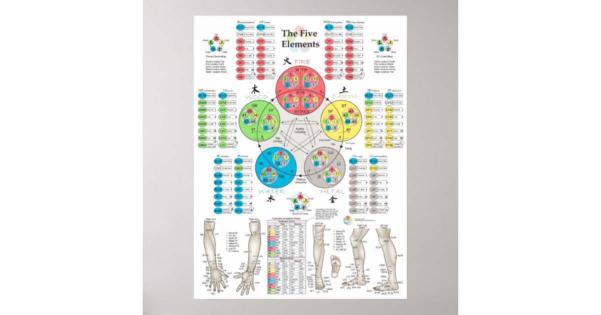 Five Elements of Acupuncture Points Poster | Zazzle