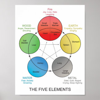 Five Elements of Acupuncture Wall Art