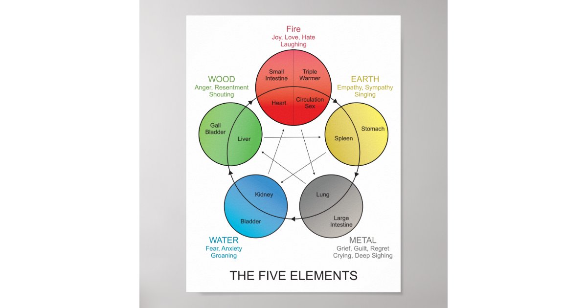 Five Elements of Acupuncture Wall Art Zazzle